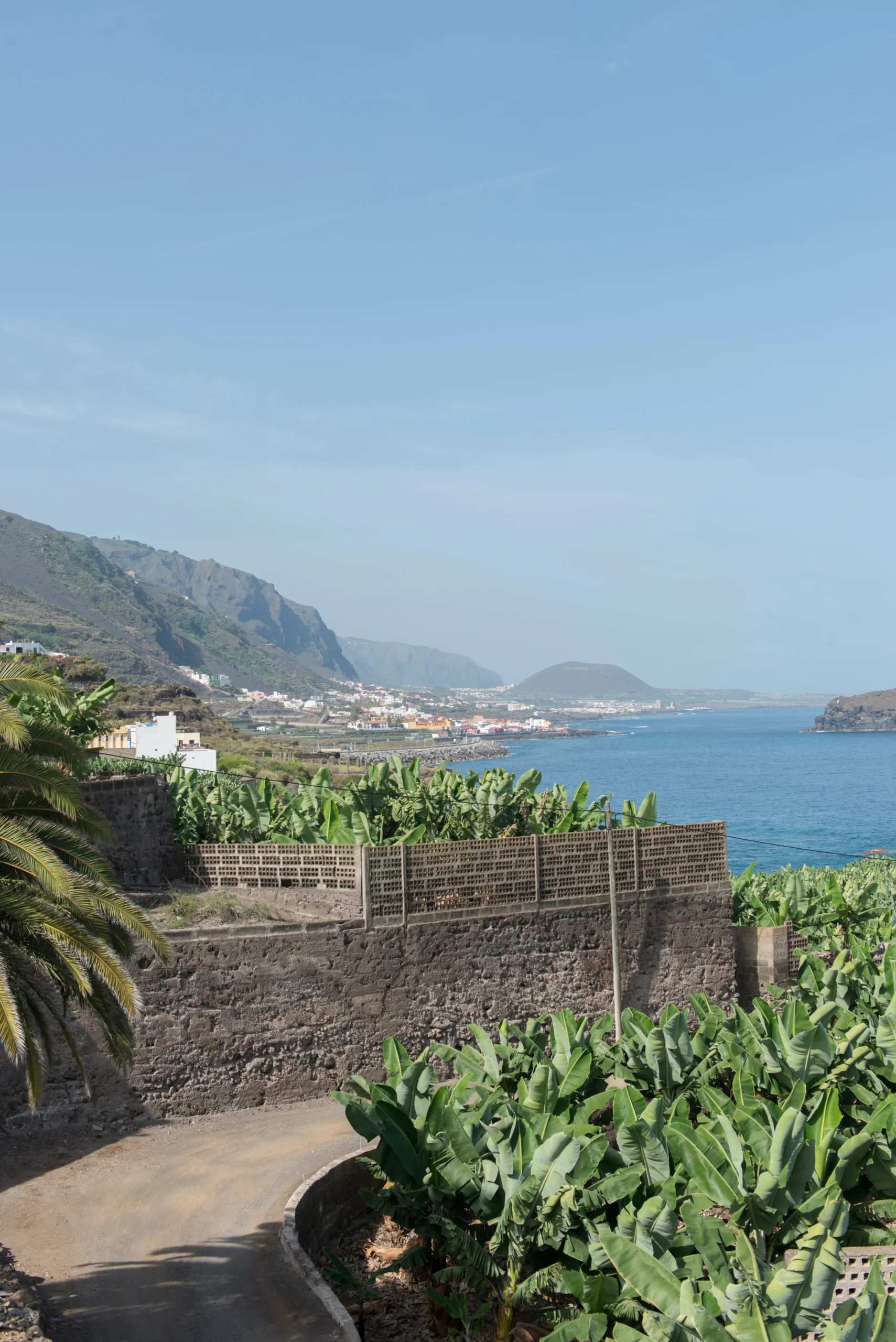 https://backplatanodecanarias.moio.cc/wp-content/uploads/2026/06/Plataneras_Canarias_01-scaled.webp