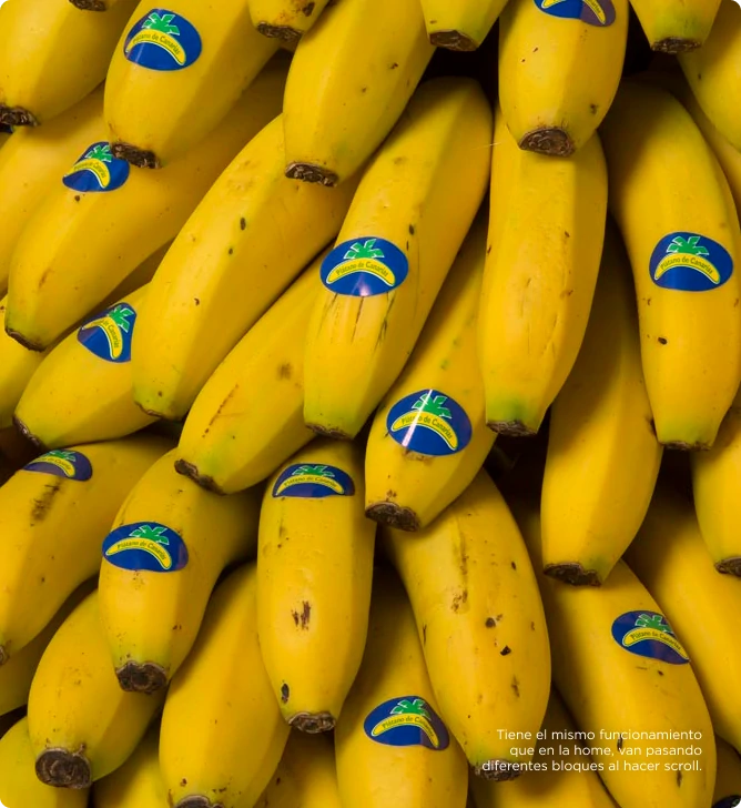 Diferencias entre plátano de canarias y banana