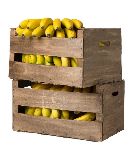 https://backplatanodecanarias.moio.cc/wp-content/uploads/2026/07/Platano-de-canarias-Cajas_01.webp