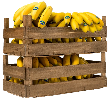 https://backplatanodecanarias.moio.cc/wp-content/uploads/2026/07/Platano-de-canarias-Cajas_02-1.webp