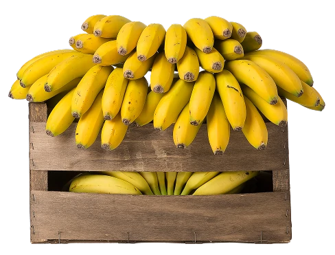https://backplatanodecanarias.moio.cc/wp-content/uploads/2026/07/Platano_de_Canarias_Compromiso_con_el_medioambiente_05.webp