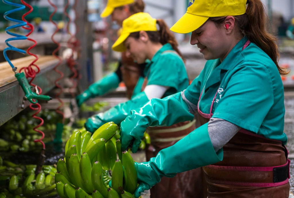 El fruto del esfuerzo artesanal