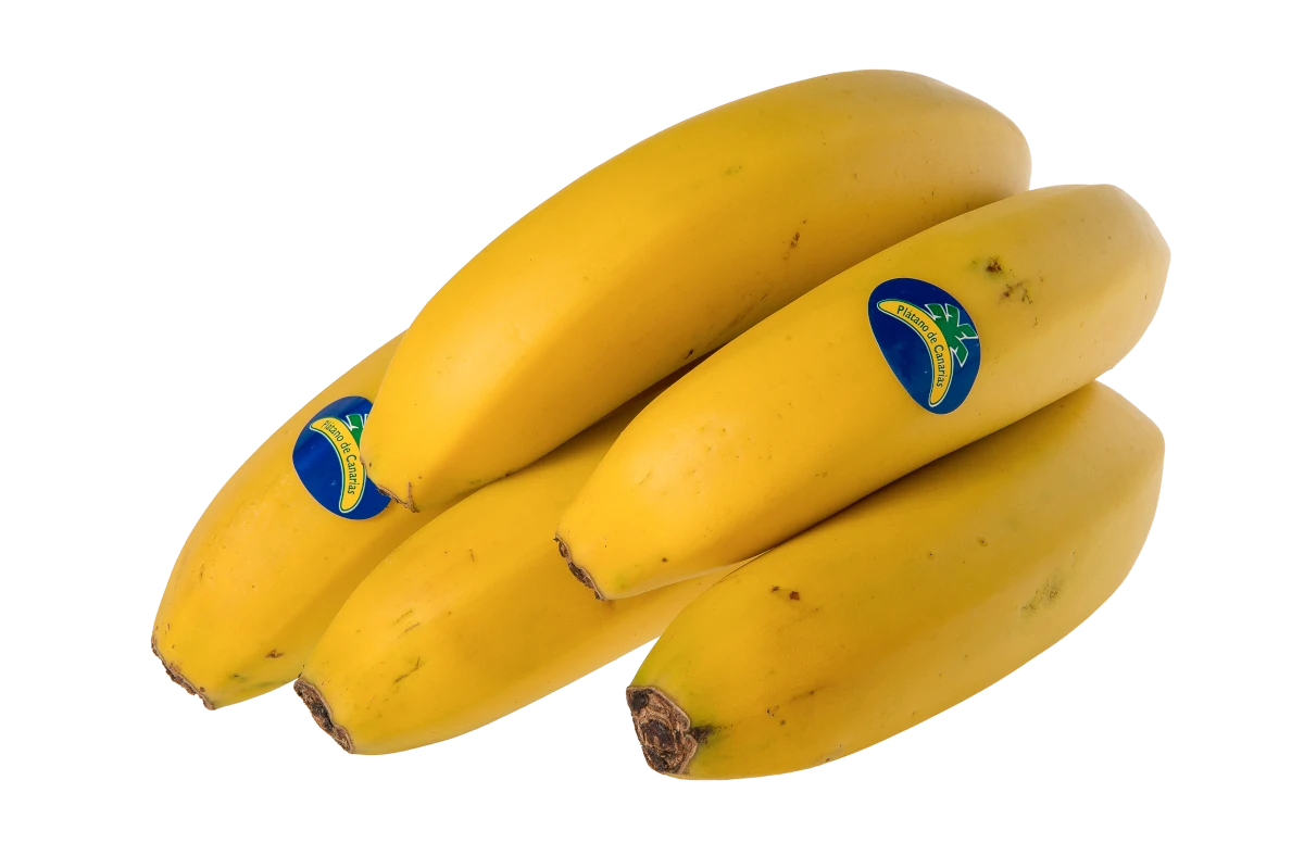 https://backplatanodecanarias.moio.cc/wp-content/uploads/2026/07/platano_de_canarias_13.webp
