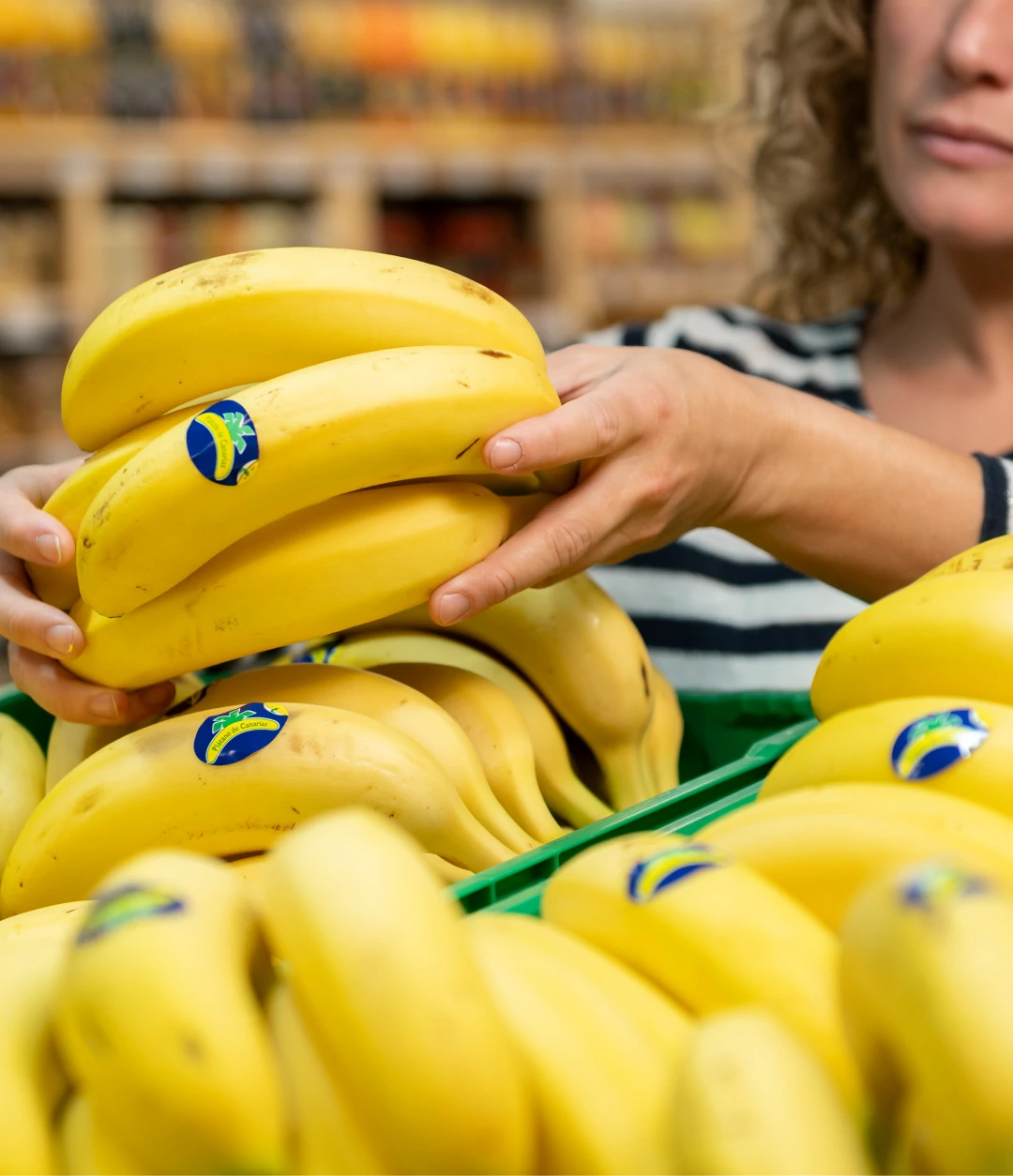 https://backplatanodecanarias.moio.cc/wp-content/uploads/2026/07/platano_de_canarias_17.webp