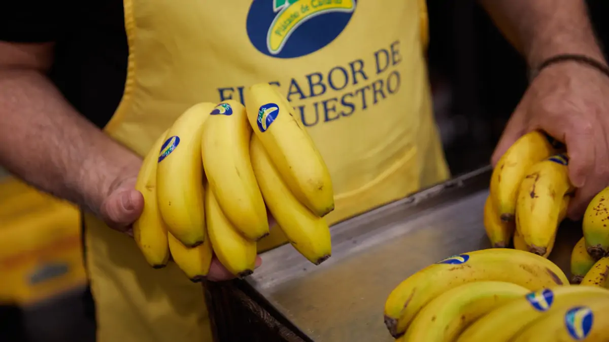 Búscanos siempre en tu punto de venta