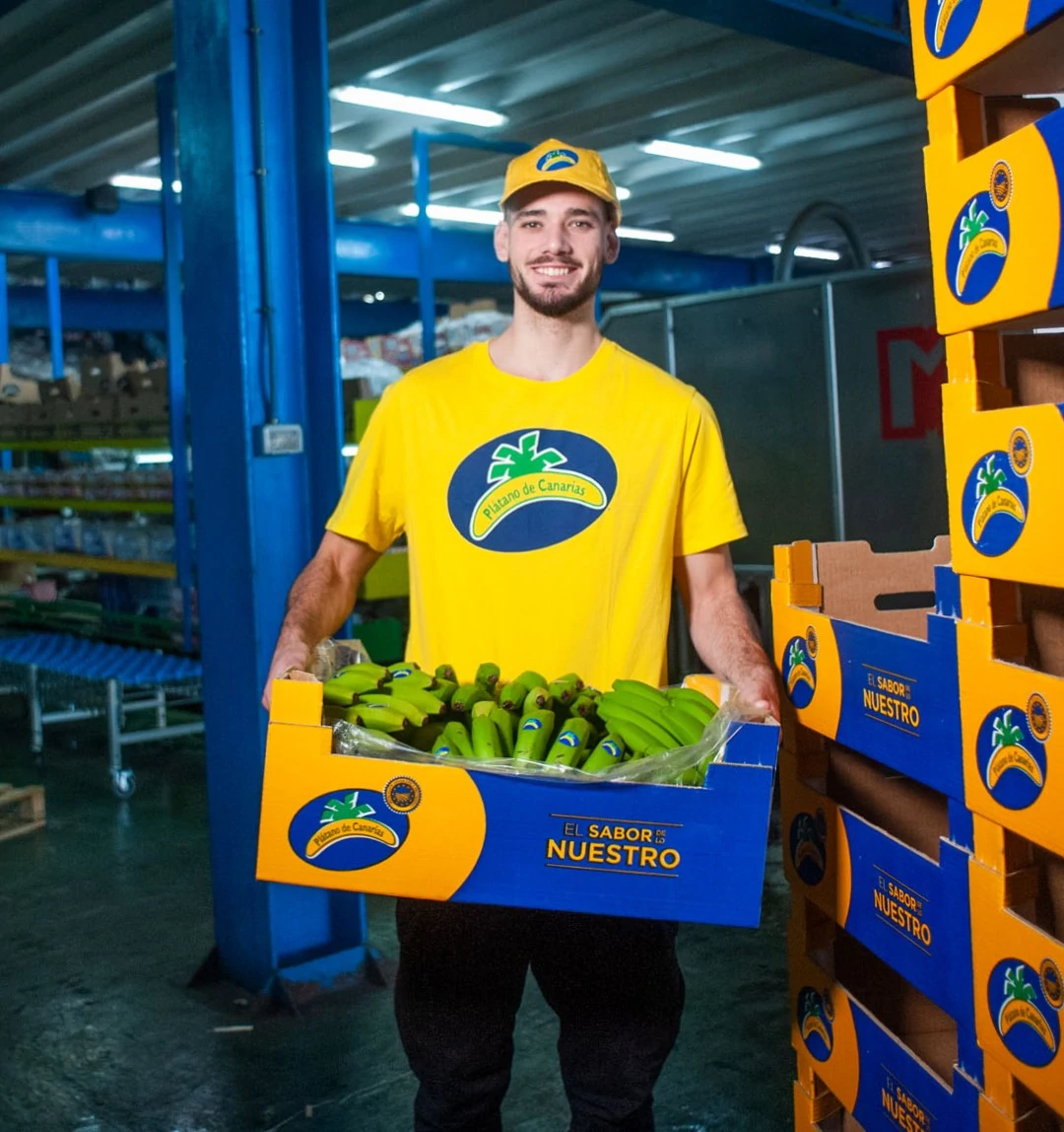 https://backplatanodecanarias.moio.cc/wp-content/uploads/2026/07/platano_de_canarias_economia_02.webp