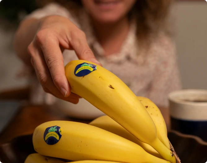 ¿Por qué elegir Plátano de Canarias?