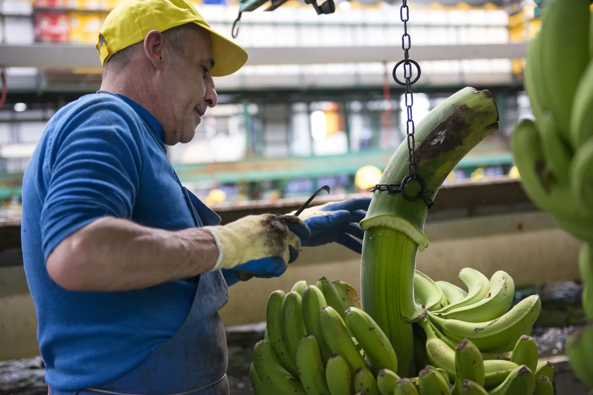 El fruto del esfuerzo artesanal