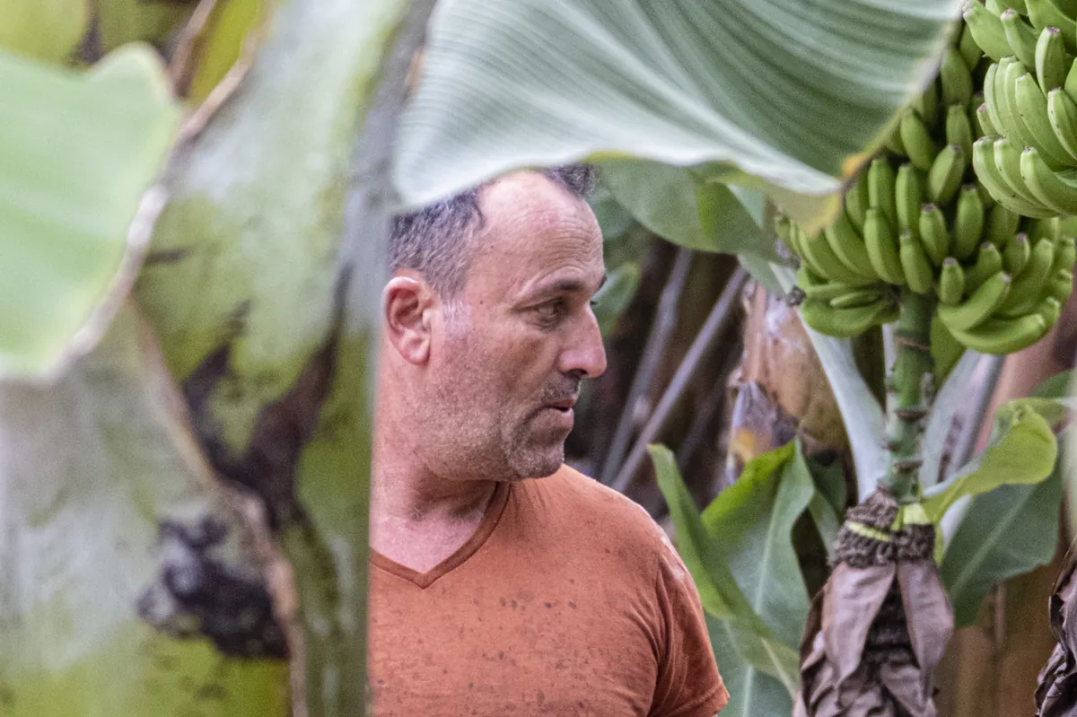 El fruto del esfuerzo artesanal